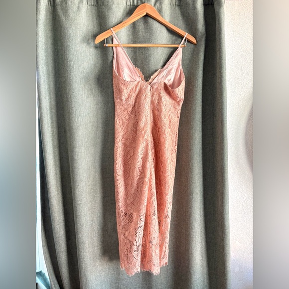 BNWT Bardot Lace Pink/Blush Dress size 6 - Picture 5 of 7